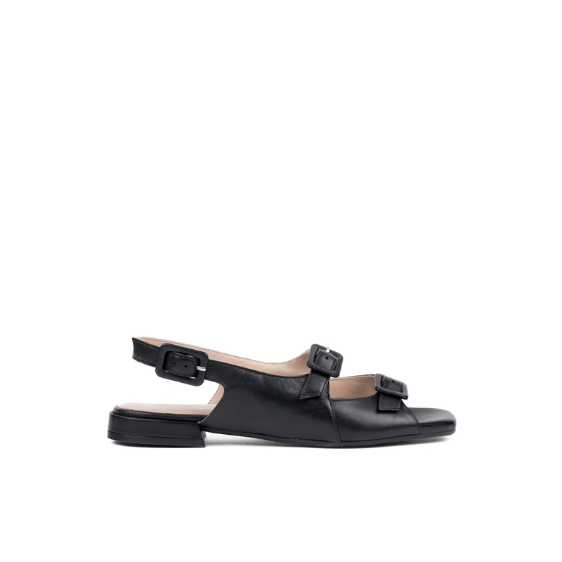 Elmira Black